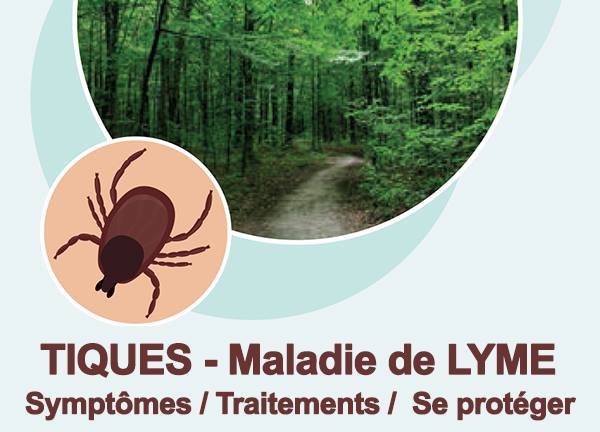 Piqûre de tique et maladie de Lyme